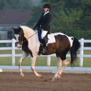 Meet your Posher, Sheena